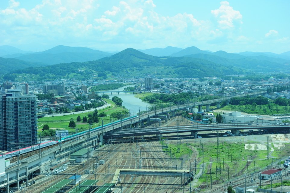 🏞️ 중앙공원(센트럴 파크) 이미지 6